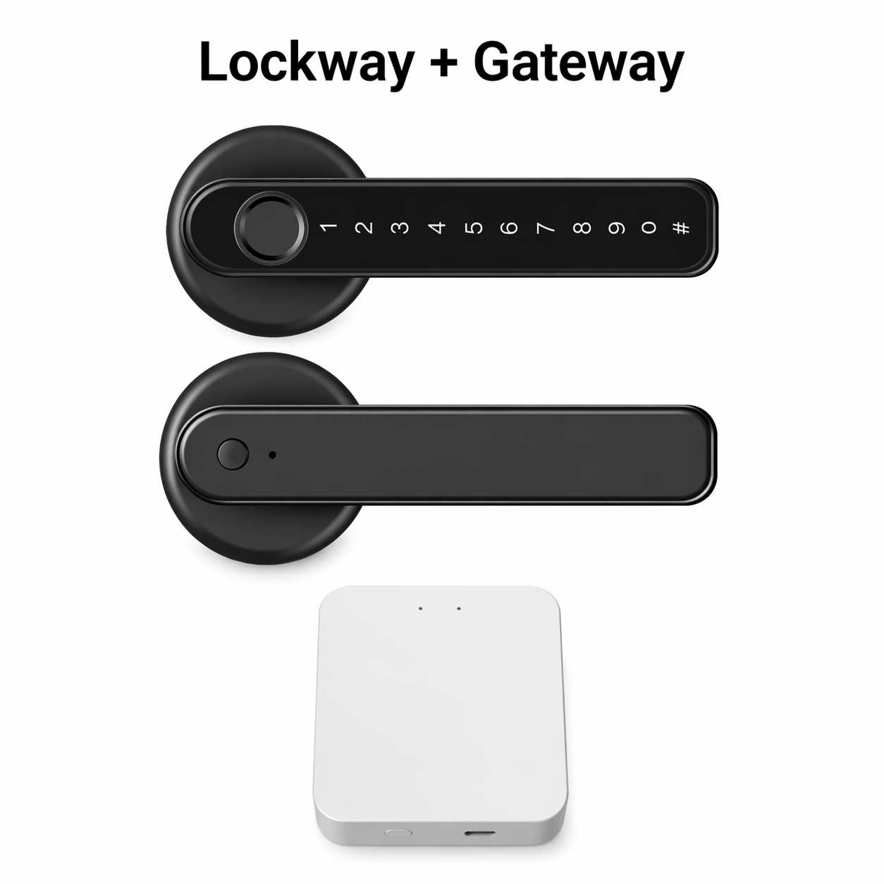 Smart Wi-Fi Door Lock With Fingerprint and Password