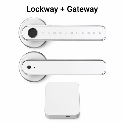 Smart Wi-Fi Door Lock With Fingerprint and Password