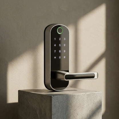 Smart Door Lock With Fingerprint and Handle